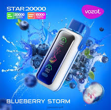 Vozol STAR 20000 - Blueberry Storm